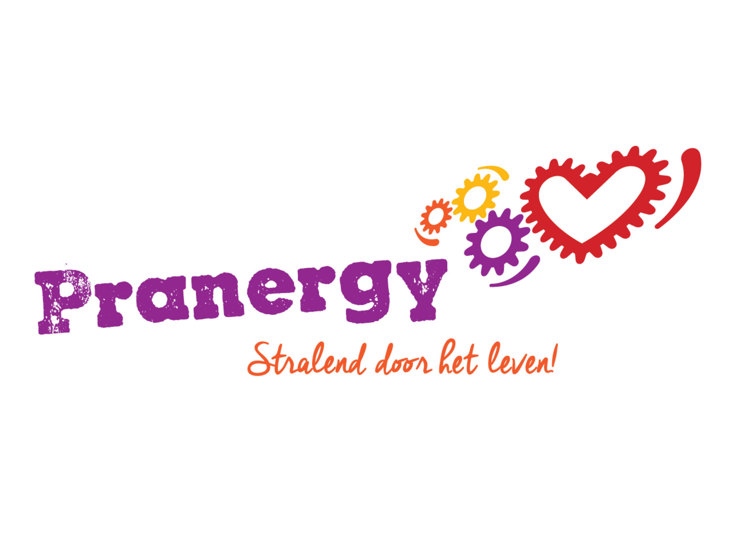 Logo Pranergy